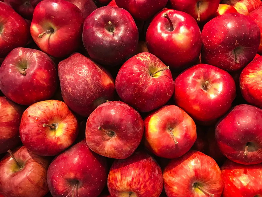 Apple fruit supply for export