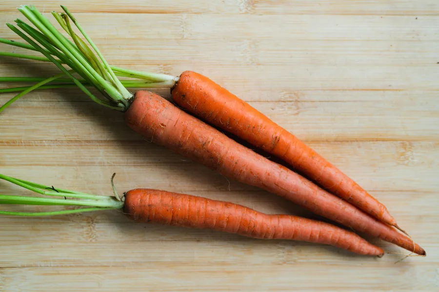 Fresh carrots selected for export from India