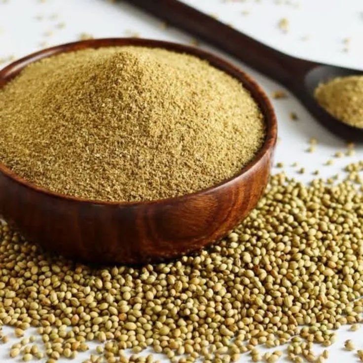 Coriander Powder exporter India