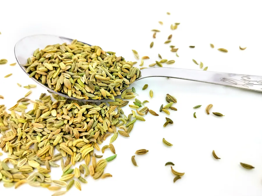 Indian seeds and spices exporter