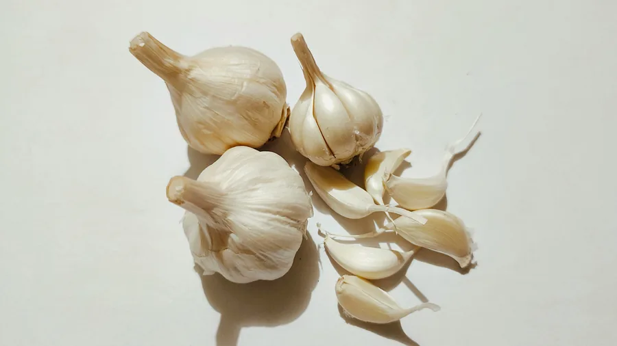 Fresh garlic selected for export from India