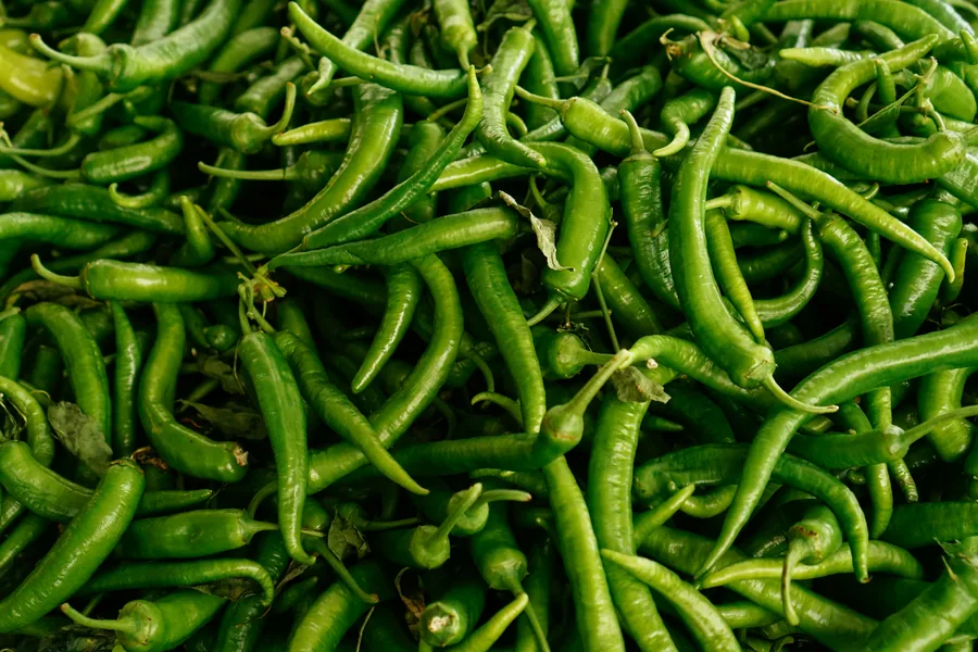 Fresh green chilli sourced from Indian farms