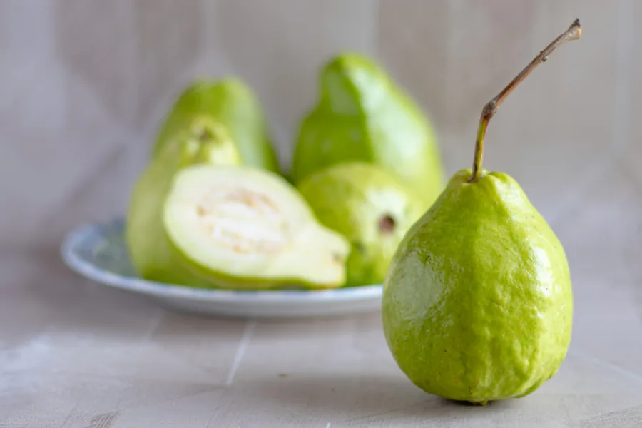 Guava fruit exporter India
