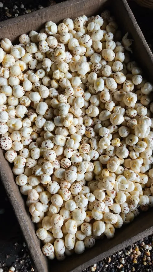 Bulk white makhana supply