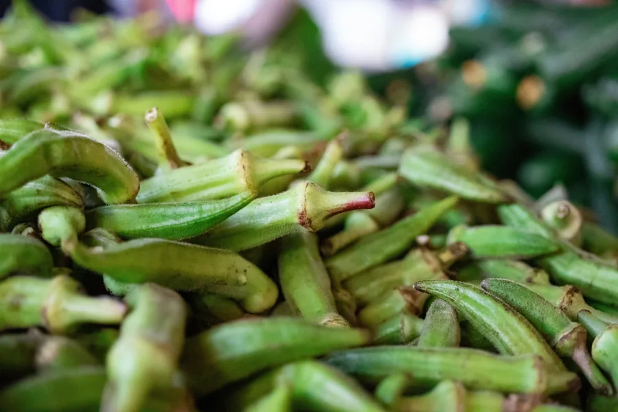 Fresh okra bhindi selected for export from India