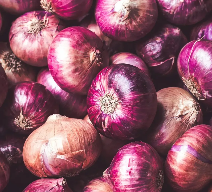 Fresh vegetables exporter India