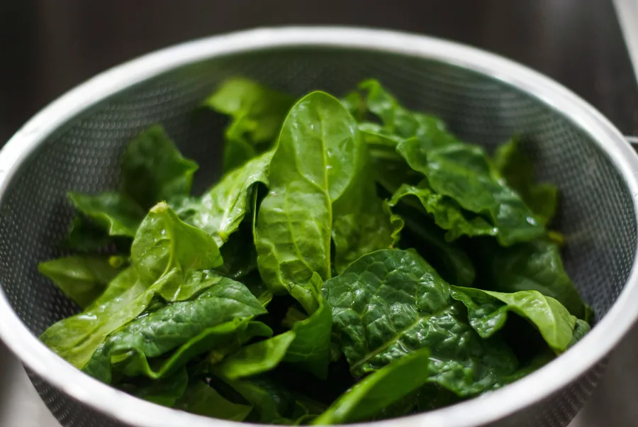 Fresh spinach palak selected for export from India