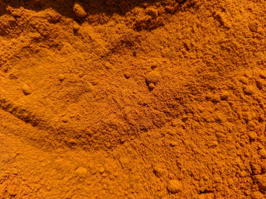 Turmeric Powder exporter India
